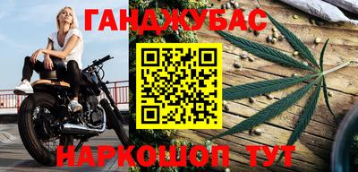 дмт Будённовск